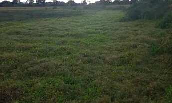 Imagem 3: SÍTIO EM BARCELOS COM 4 ALQUEIRES