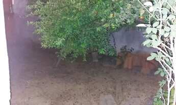 Imagem 6: Alugo casa Maracanã 2