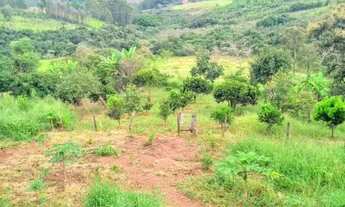 Imagem 4: Vendo Fazenda em São Tiago MG (50 hec