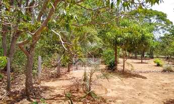 Imagem 4: Vendo chácara com 3 quartos em Bonfinópolis