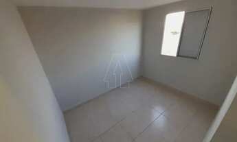 Imagem 4: Araçatuba - Apartamento - Umuarama