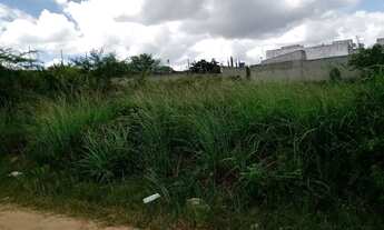 Imagem 2: Terreno no Luiz Gonzaga 12x30