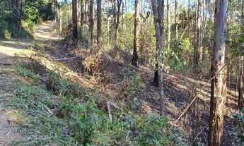 Imagem 4: Sítios Chácara com venda por R$200.000