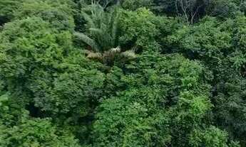 Imagem 3: 6 Andar a Venda Reserva São Lourenço