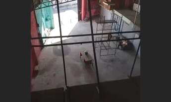 Imagem 3: Casa e galpao Casa com 4 dormitórios