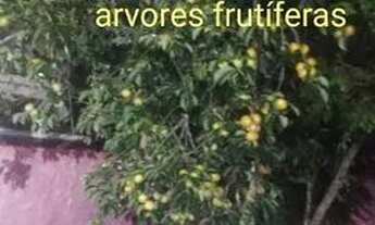 Imagem 5: 3 qrts com piscina terreno de 480m² energia solar bem localizada