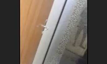 Imagem 2: ALUGA-SE KIT sol nascente abaixo da feira do produtor