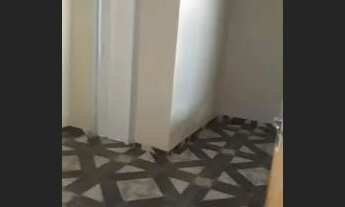 Imagem 5: Aluga-se apartamento