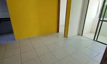 Imagem 2: REPASSE 2 QYS EM PAU AMARELO