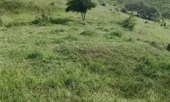 Imagem 4: Terreno para venda em bairro da Alpina - Igaratá - SP