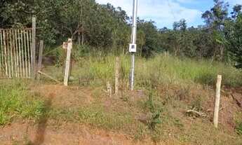 Imagem 3: Chácara rajadinha jardim do Éder