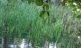 Imagem 6: Venda Terreno / lote com venda com preço sob consulta