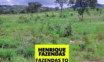 Imagem 4: Fazenda com 94 alqueires no Município de Colmeia Tocantins