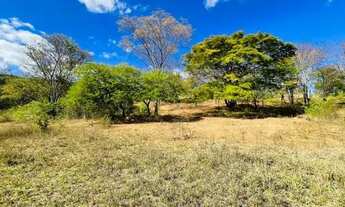Imagem 7: Fazenda 227ha em Claro dos Poções