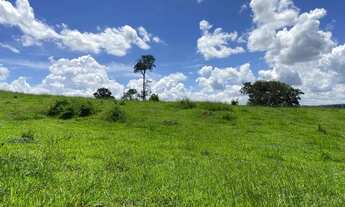 Imagem 4: Chácara/Sítio de 2 hectares - Região do Rio Dourados