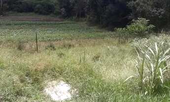 Imagem 6: CHÁCARA IBIUNA Chácara com venda por R$230.000