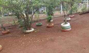 Imagem 2: Chacara em caldazinha com casa de 3/4 pomar riacho no fundo