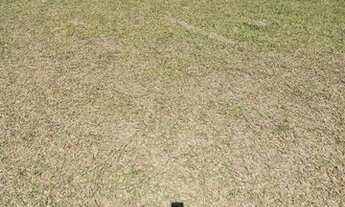 Imagem 5: Vendo ou Troco - 02 Lotes 5x50 cada, Plano ótimo para chácara