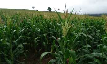 Imagem 7: Vende-se imóvel