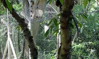 Imagem 5: Locação Casa com 3 dormitórios