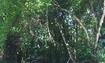 Imagem: TERRENO COM 503M² EM ITAMAMBUCA