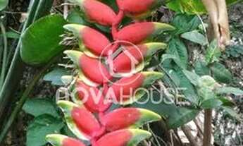 Imagem 2: COM 6QUARTOS., SENDO 4 SUÍTE