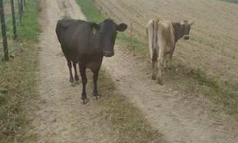 Imagem: Vende-se imóvel