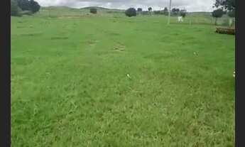 Imagem 4: Agricultura ou Pecuária Fazendinha Entre Janaúba e Montes claros.