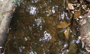 Imagem 6: Fazenda 18 alqueires com nascente 3km do asfalto