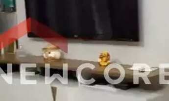 Imagem 6: Apartamento em Avenida Marechal Maurício José Cardoso - Canto do Forte - Praia Grande/SP