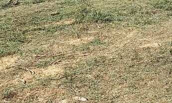 Imagem 5: Vende terreno 1000 mts Ibiuna-sp