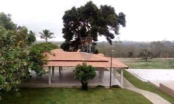 Imagem 3: Sitio /Chácara Flor de Laranjeira, 10 tarefas, a 10km de Feira de Santana