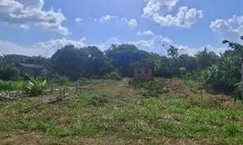 Imagem 3: Terreno na estrada de Autazes km 53