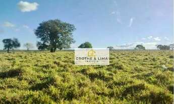 Imagem 2: Excelente fazenda à venda na região do município de Palmas-TO