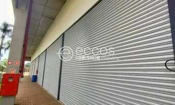 Imagem 2: Imóvel Comercial para aluguel, Segismundo Pereira - Uberlândia/MG