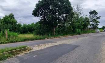 Imagem 4: Vendo sítio no barro branco perto do trevo do ceramista