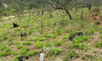 Imagem 2: L1- Os melhores lotes divisa com mairiporã venha já conhece, entre em contato