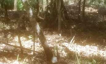 Imagem 3: Terreno com lagoa em serra azul