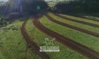 Imagem: Imóvel para venda possui 119420000 metros