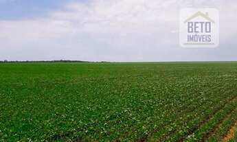 Imagem 6: Fazenda/Sítio/Chácara para venda com 112210000 metros quadrados em Jardim Aureny I - Palma