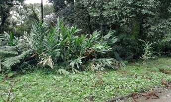 Imagem 4: Terreno à venda em Canela!