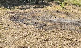 Imagem 7: Terreno no acutiba