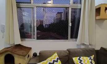 Imagem 6: APARTAMENTO - VILA CLEMENTINO - SP