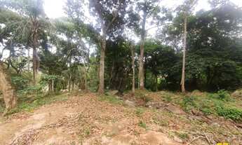 Imagem: Terreno Comercial em Ratones