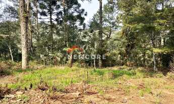 Imagem 6: Chácara em Estrada da Carapina - Vale do Carapina - São Francisco de Paula/RS