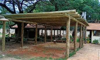 Imagem 5: Pergolados e decks