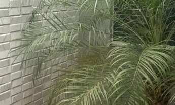 Imagem: Residencial veredas dos buritis