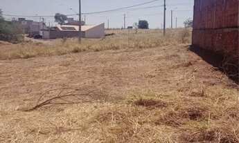 Imagem 3: Terreno Bady Bassitt