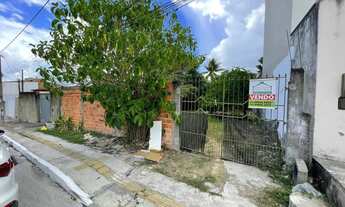 Imagem: Terreno para venda, nascente com 214m2 em