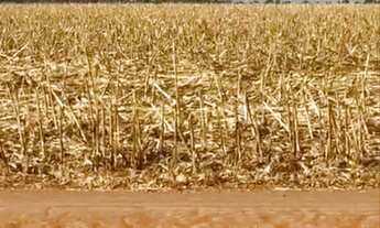 Imagem: R$330 Milhões Fazenda à Venda 7.234 hectares